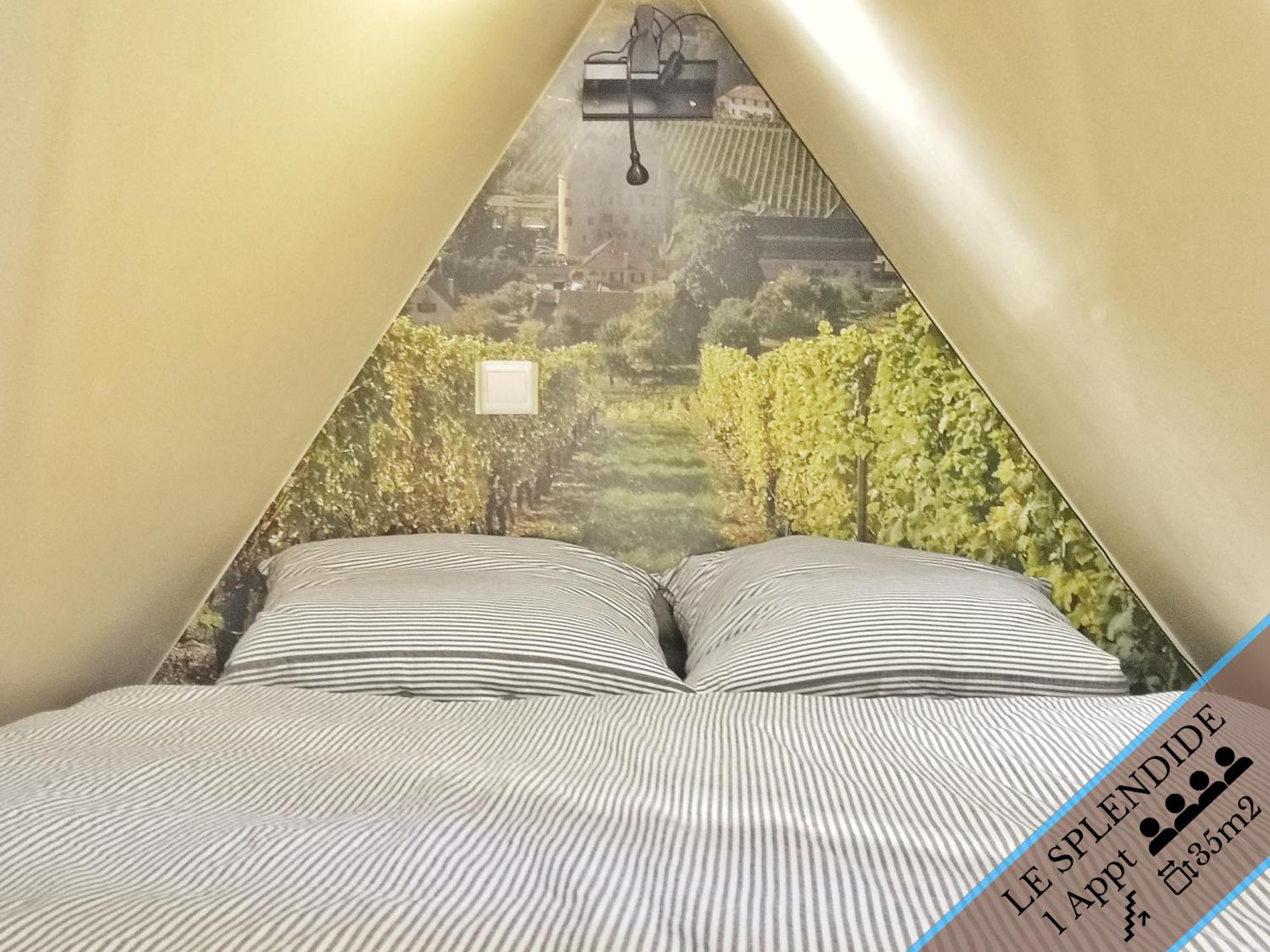 Splendide Appartement Barr - Route Du Vins Room photo