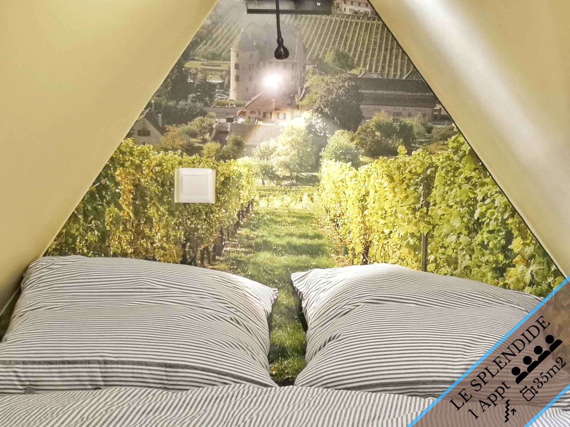 Splendide Appartement Barr - Route Du Vins Room photo
